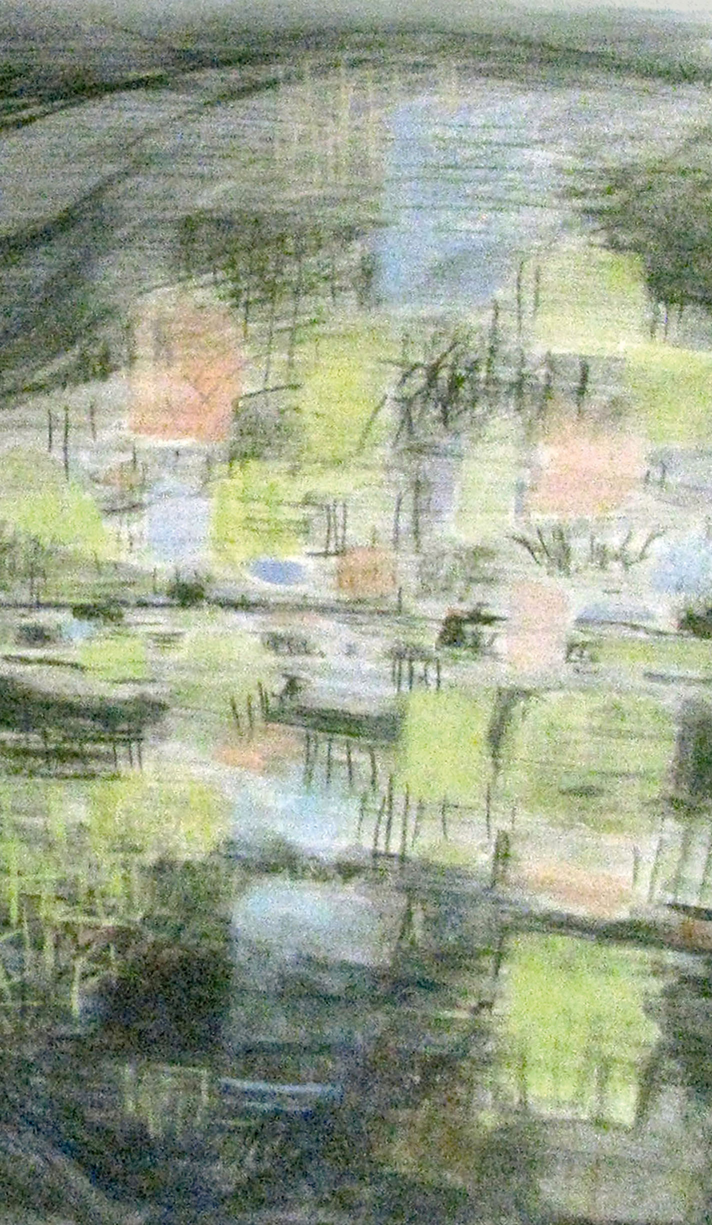 Shimmering cricket field